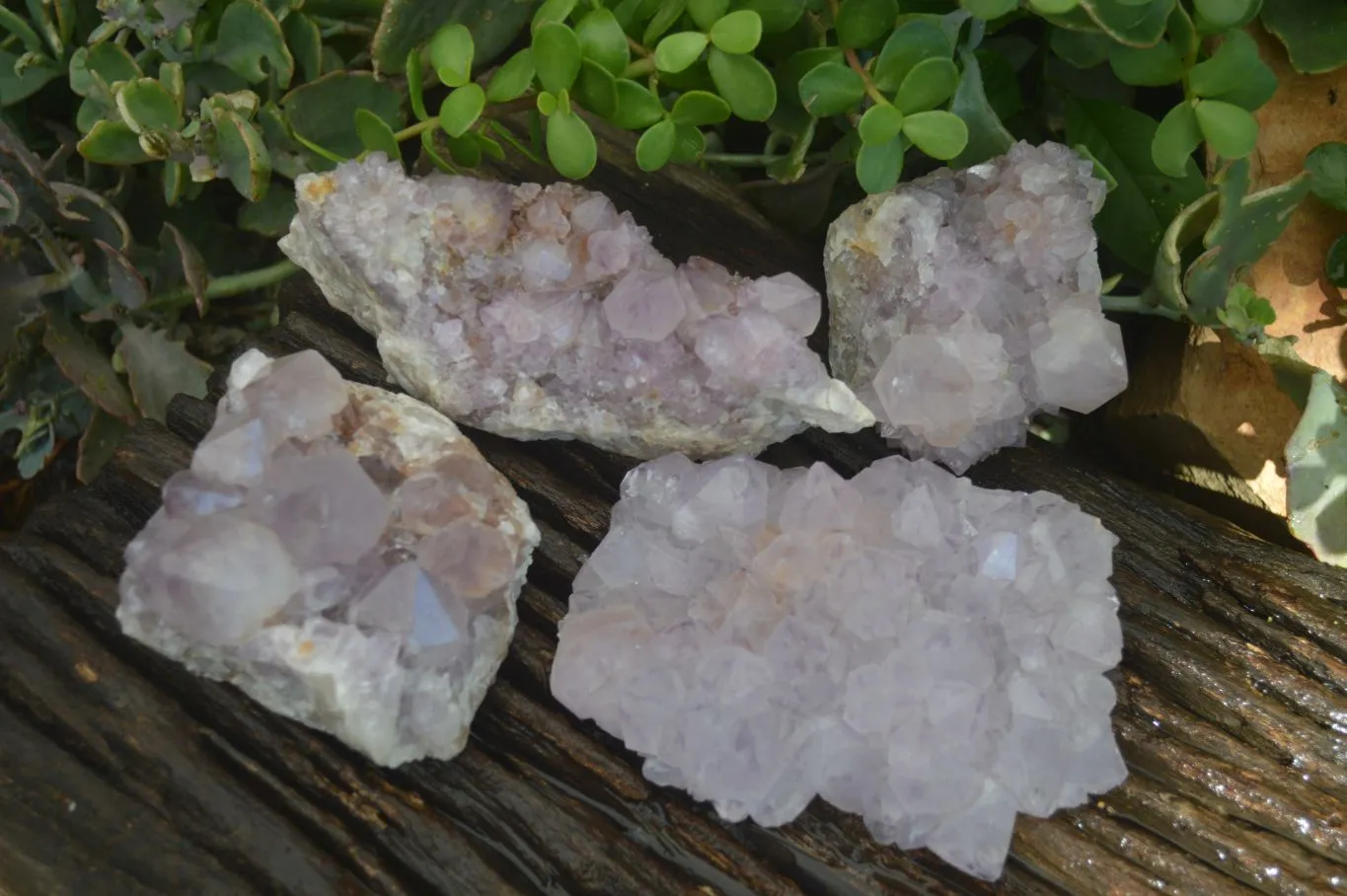 Natural Spirit Amethyst Quartz Clusters x 4 From Boekenhouthoek, South Africa