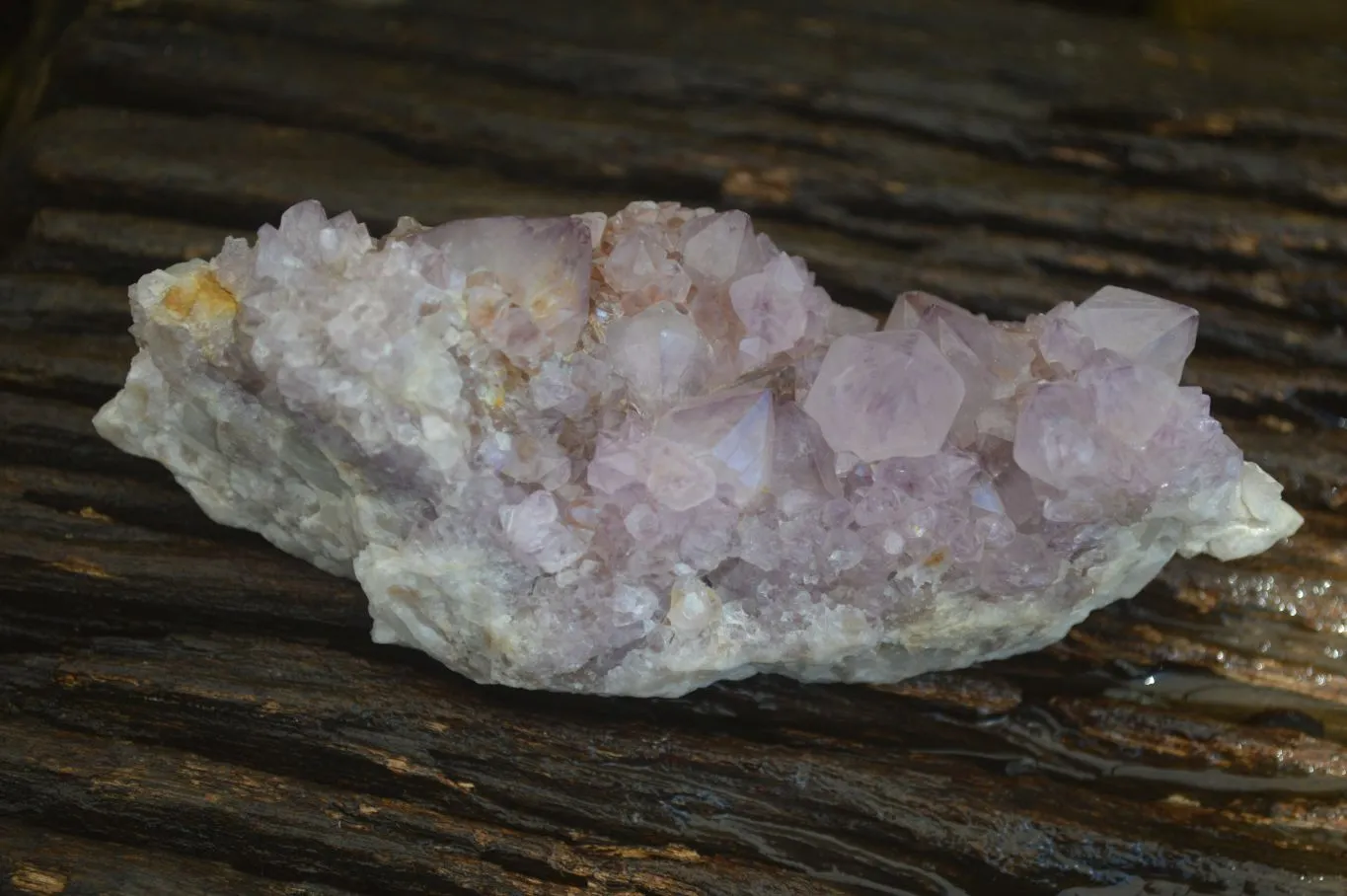 Natural Spirit Amethyst Quartz Clusters x 4 From Boekenhouthoek, South Africa