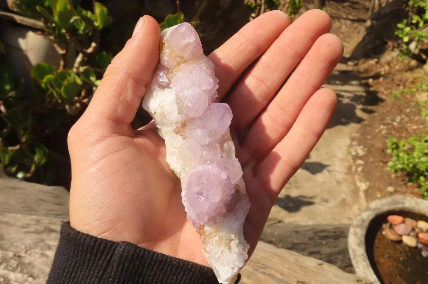 Natural Spirit Ametrine Quartz Specimens  x 6 From South Africa