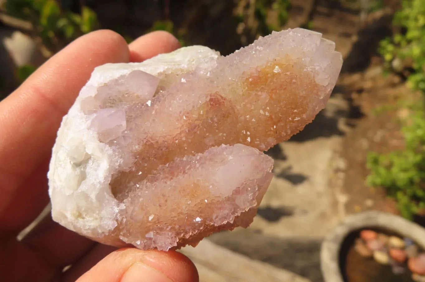 Natural Spirit Ametrine Quartz Specimens  x 6 From South Africa