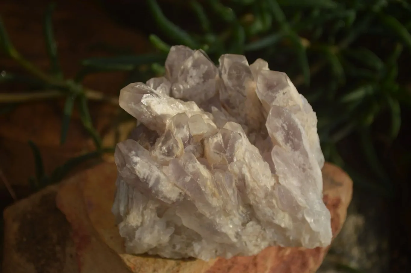 Natural Sugar Amethyst Clusters  x 6 From Solwezi, Zambia