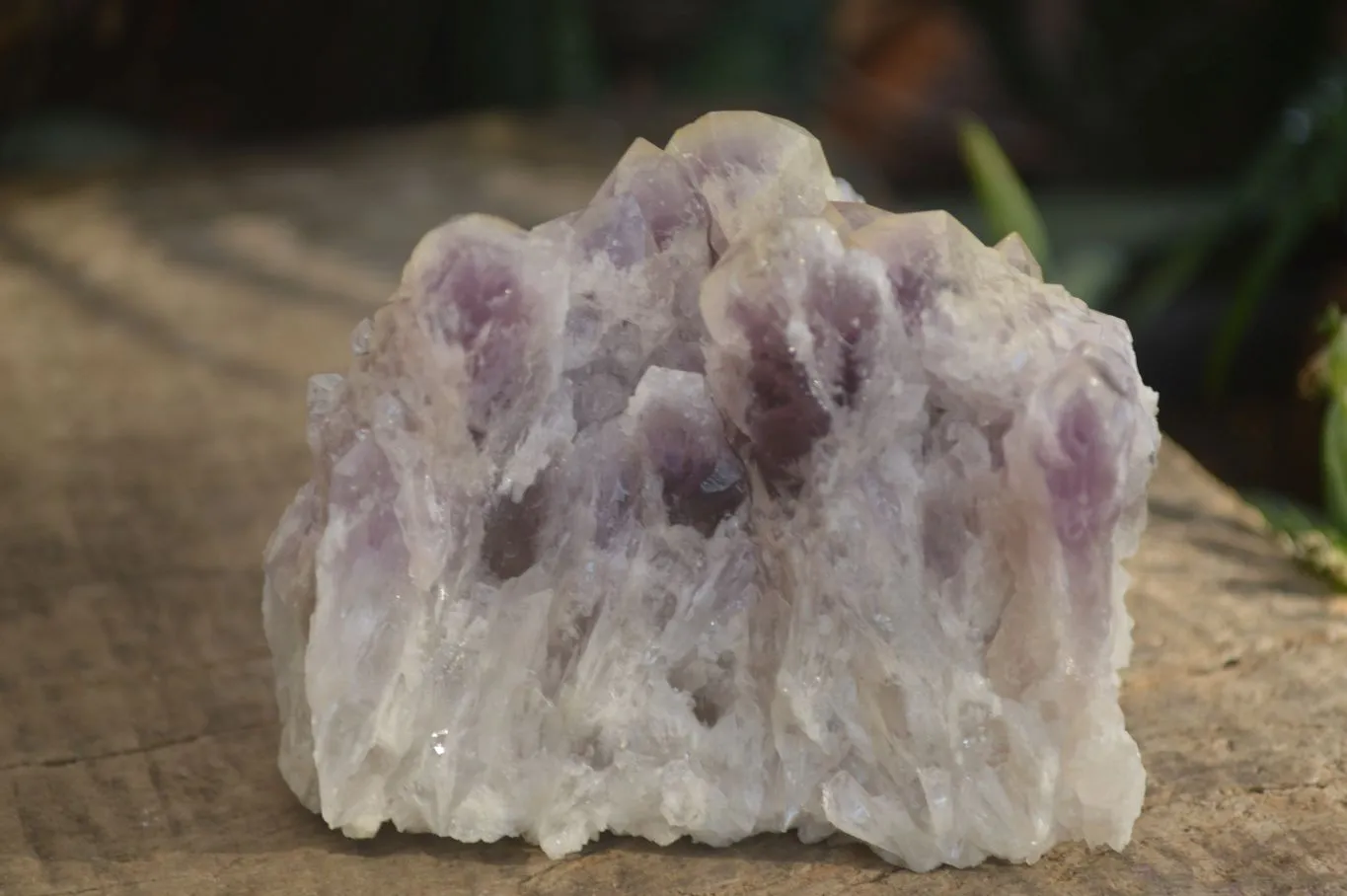 Natural Sugar Amethyst Clusters  x 6 From Solwezi, Zambia