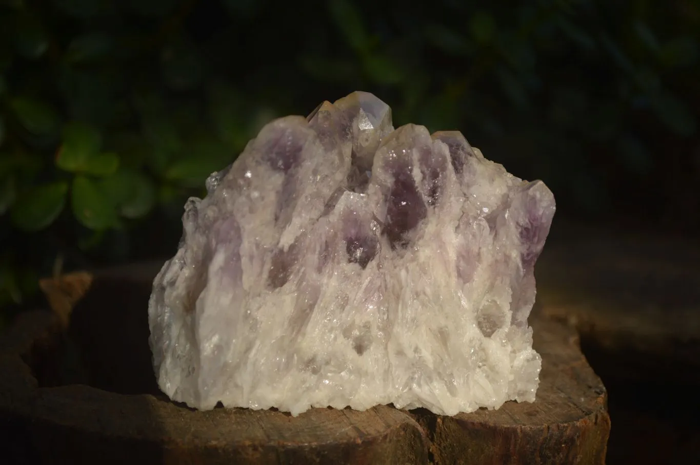 Natural Sugar Amethyst Clusters  x 6 From Solwezi, Zambia