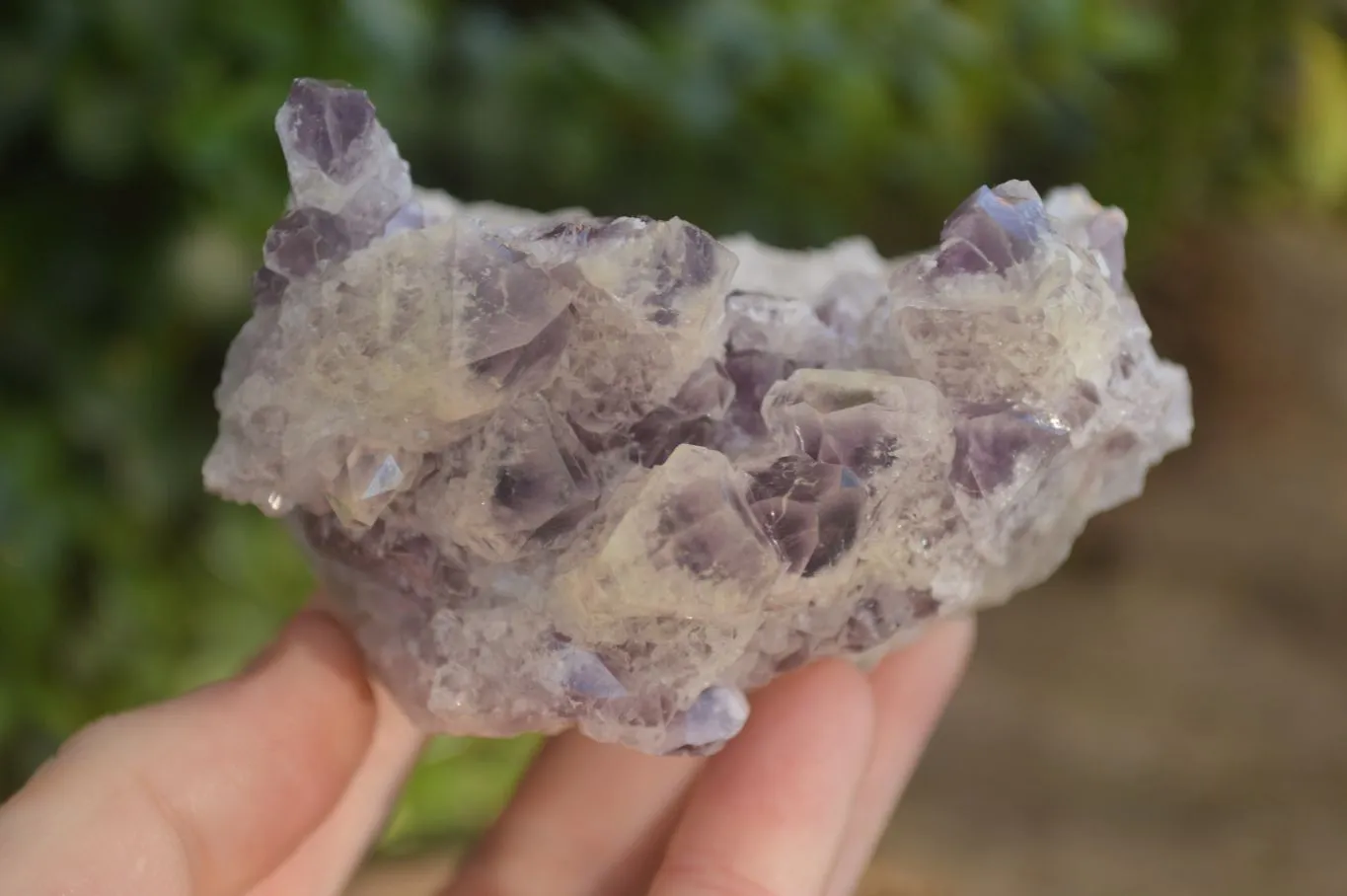 Natural Sugar Amethyst Clusters  x 6 From Solwezi, Zambia