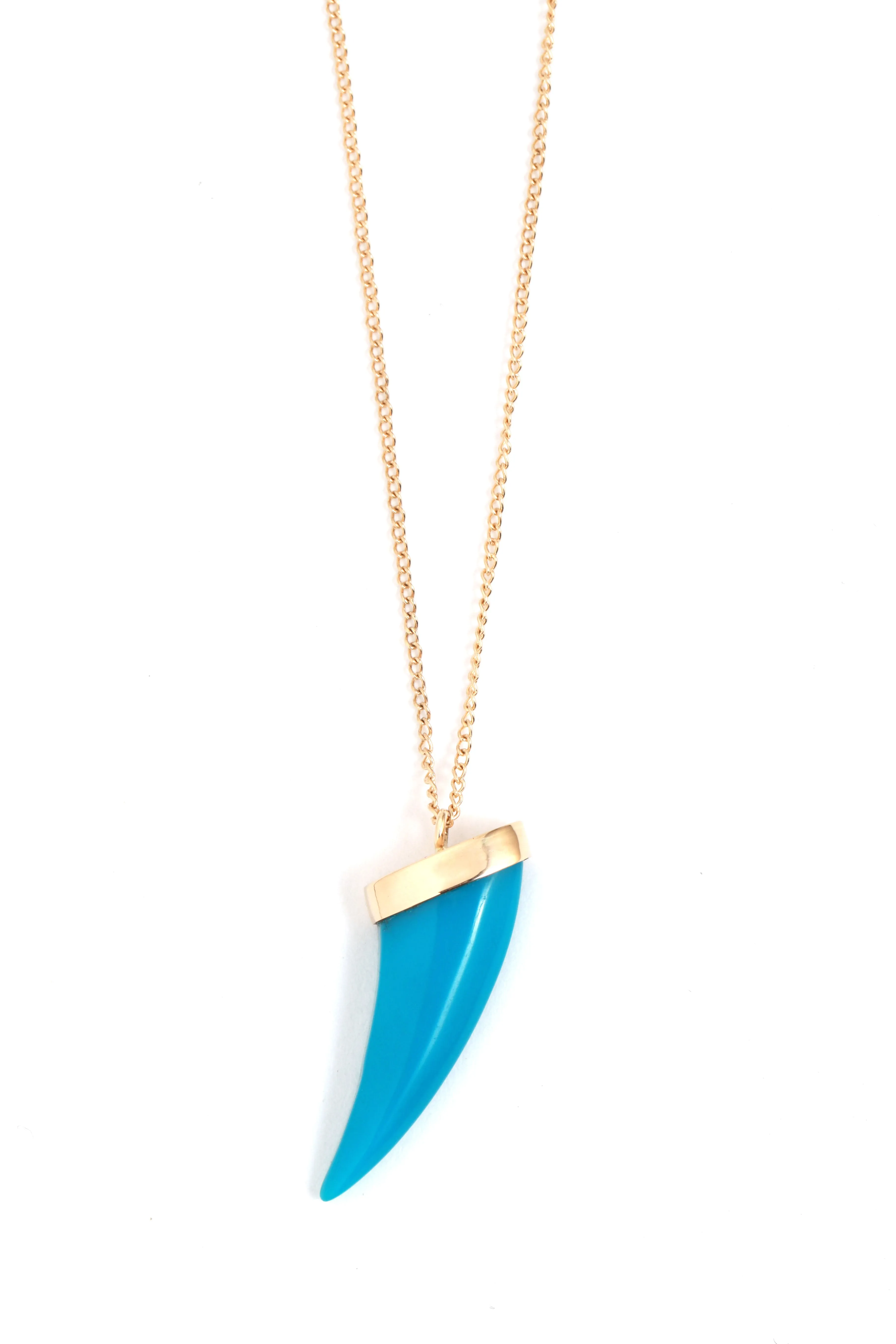 Turquoise Claw Necklace