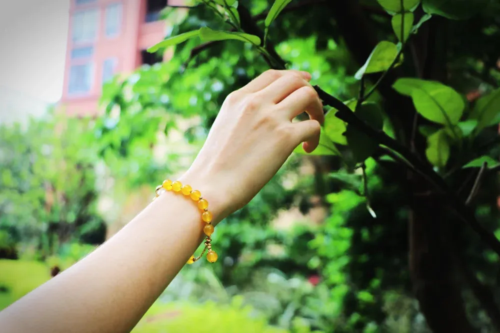 Wealth & Luck Citrine Bracelet